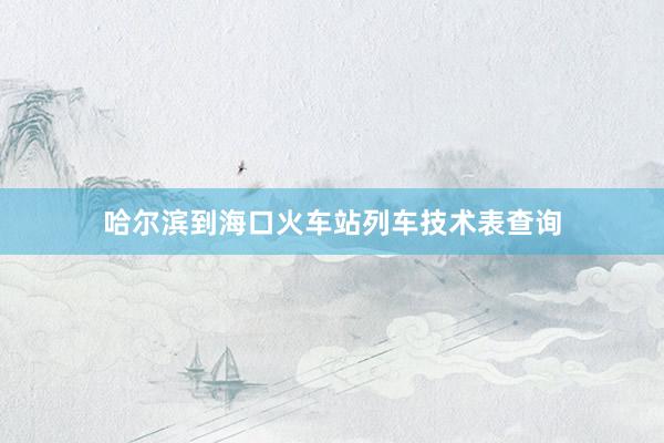 哈尔滨到海口火车站列车技术表查询