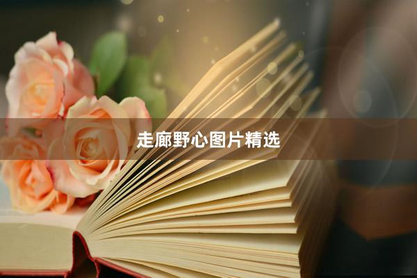 走廊野心图片精选
