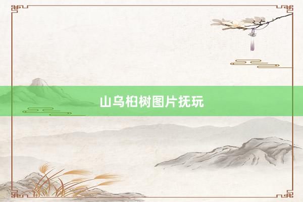 山乌桕树图片抚玩